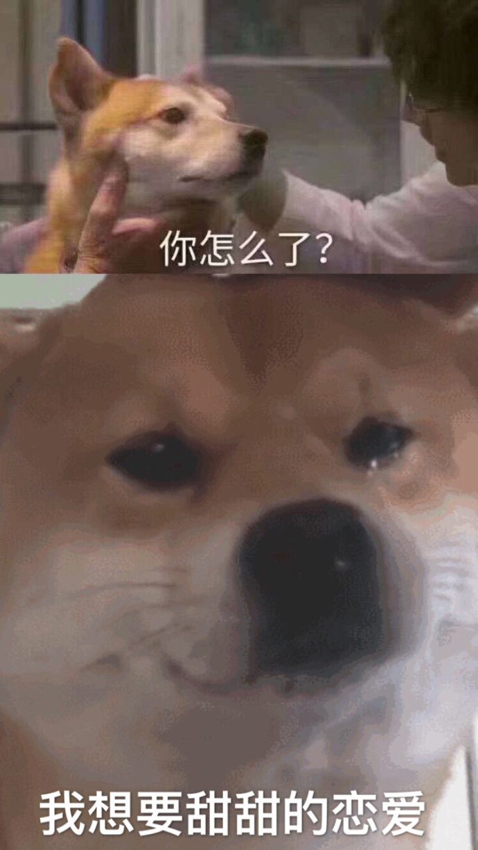 你怎么了?我想要甜甜的恋爱