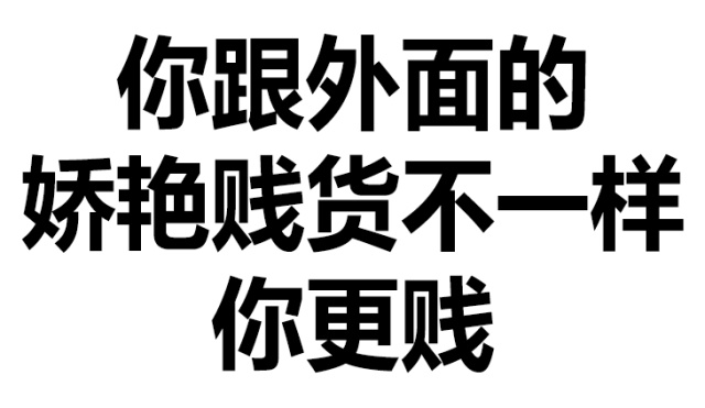 你跟外面的妖艳贱货不一样,你更贱!