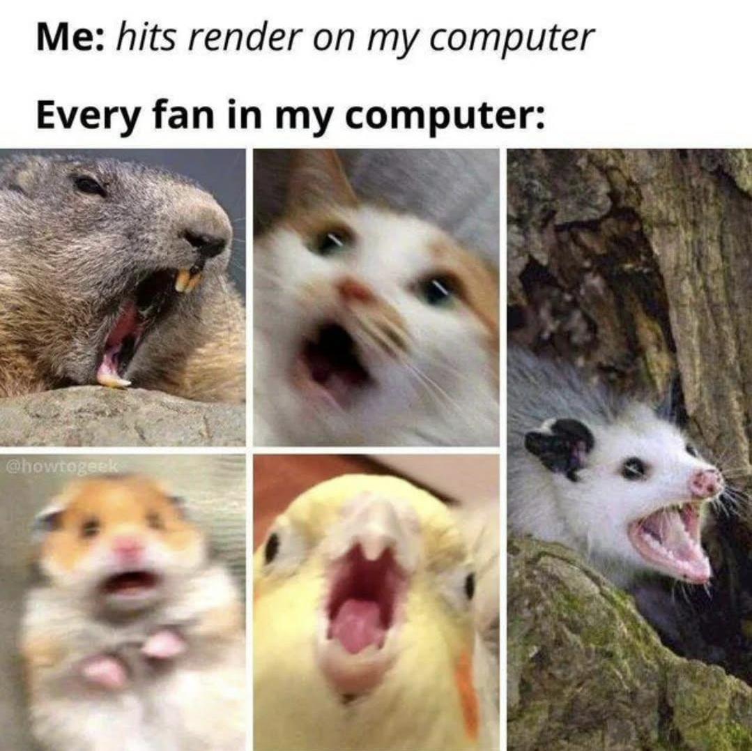 They Be Fighting For Their Lives