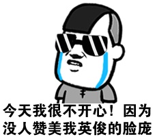 今天我很不开心!因为没人赞美我英俊的脸庞
