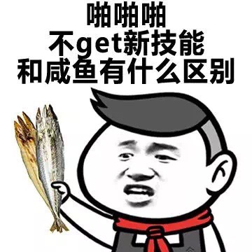 啪啪啪 不get 新技能和咸鱼有什么区别