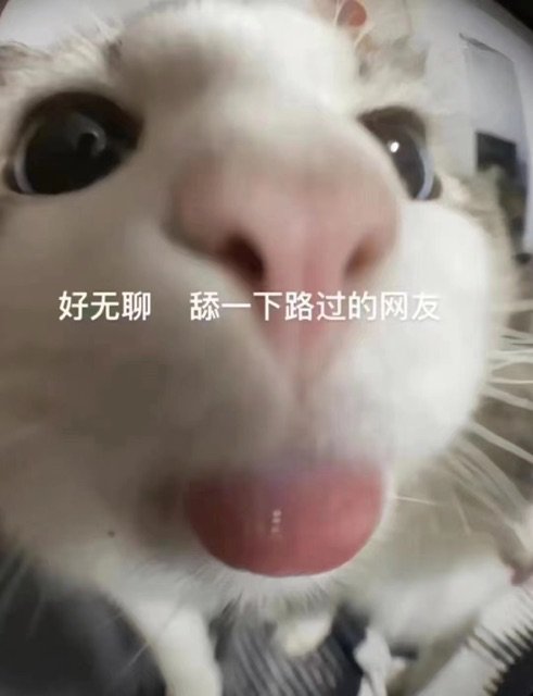 好无聊舔一下路过的网友