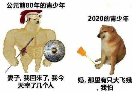 肌肉狗VS小废狗表情包
