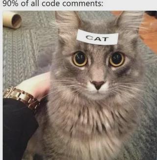 The Cryptic Comment Conundrum