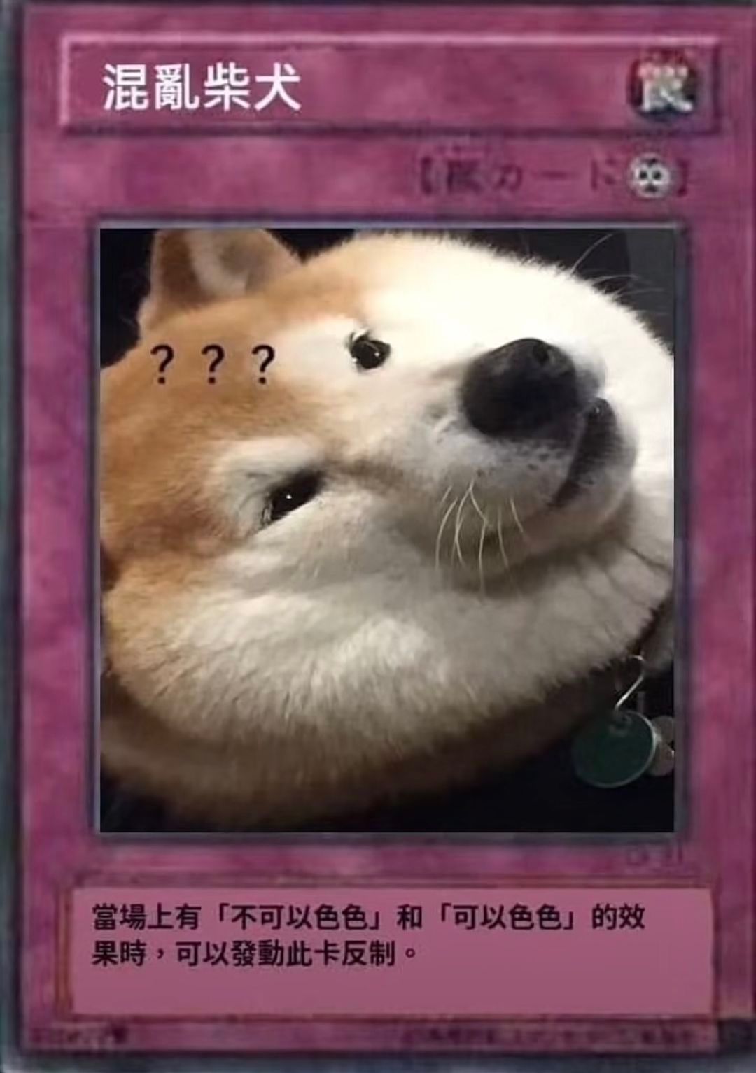 混亂柴犬力一???當場上有「不可以色色」和「可以色色」的效果時,可以發動此卡反制。