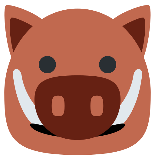 Boar