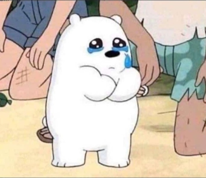 Ice bear crying