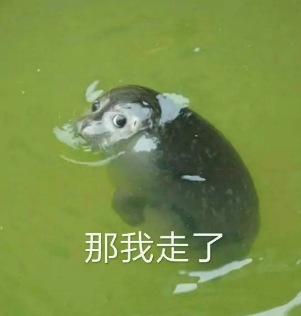 那我走了
