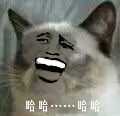哈哈。。。哈哈(金馆长大白牙)