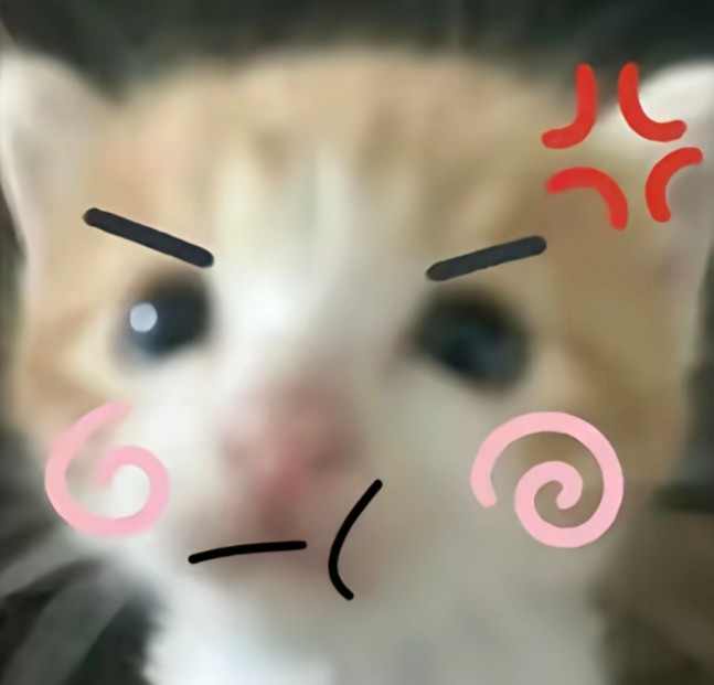 死对头小猫P图表情包