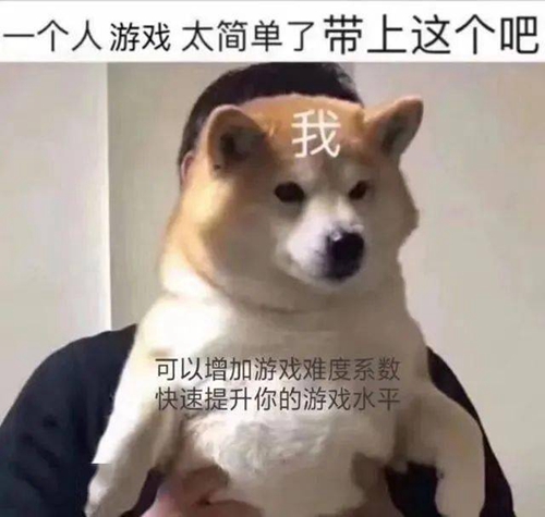 一个人游戏太简单了带上这个吧表情包- PSP99游戏网