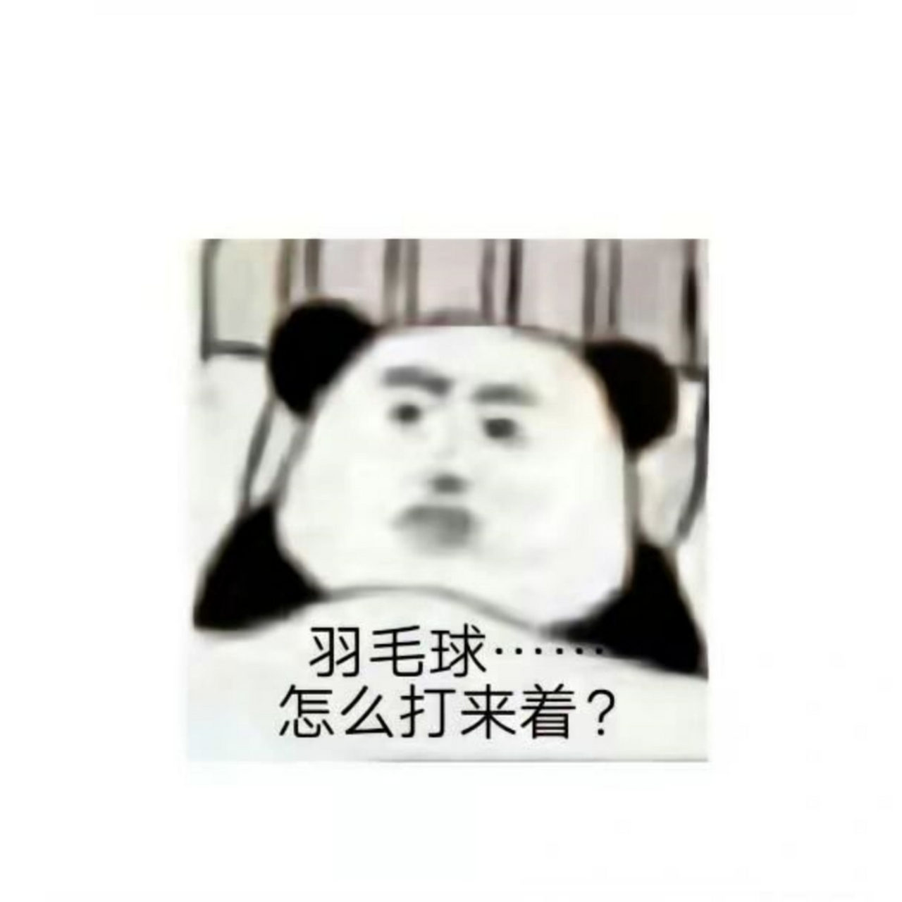羽毛球必备表情包
