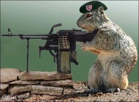 Squirrel machine gun