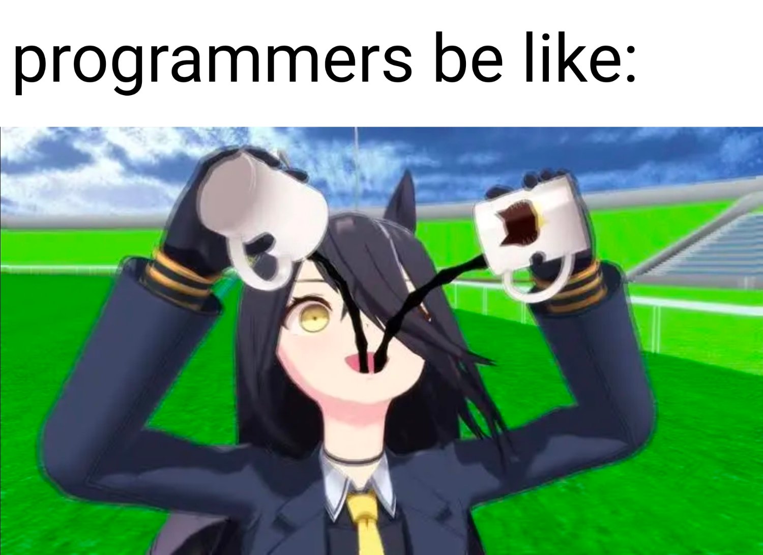 Average Programmers