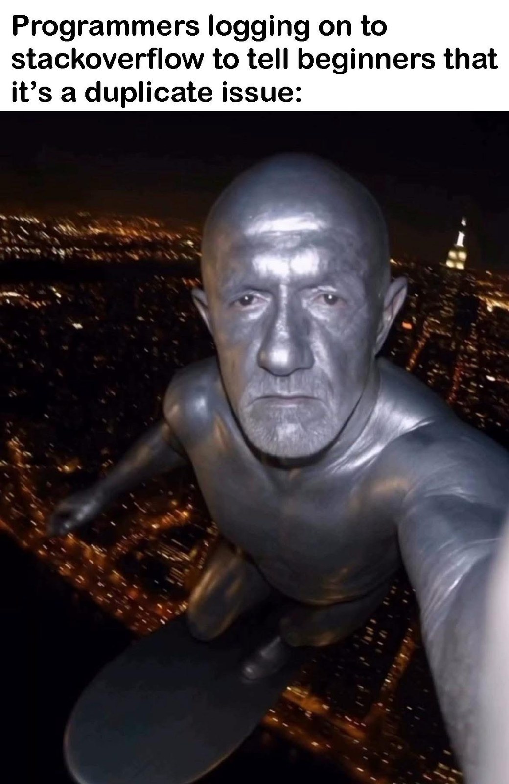 The Silver Sentinel Of StackOverflow