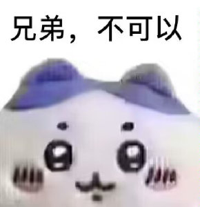 兄弟,不可以