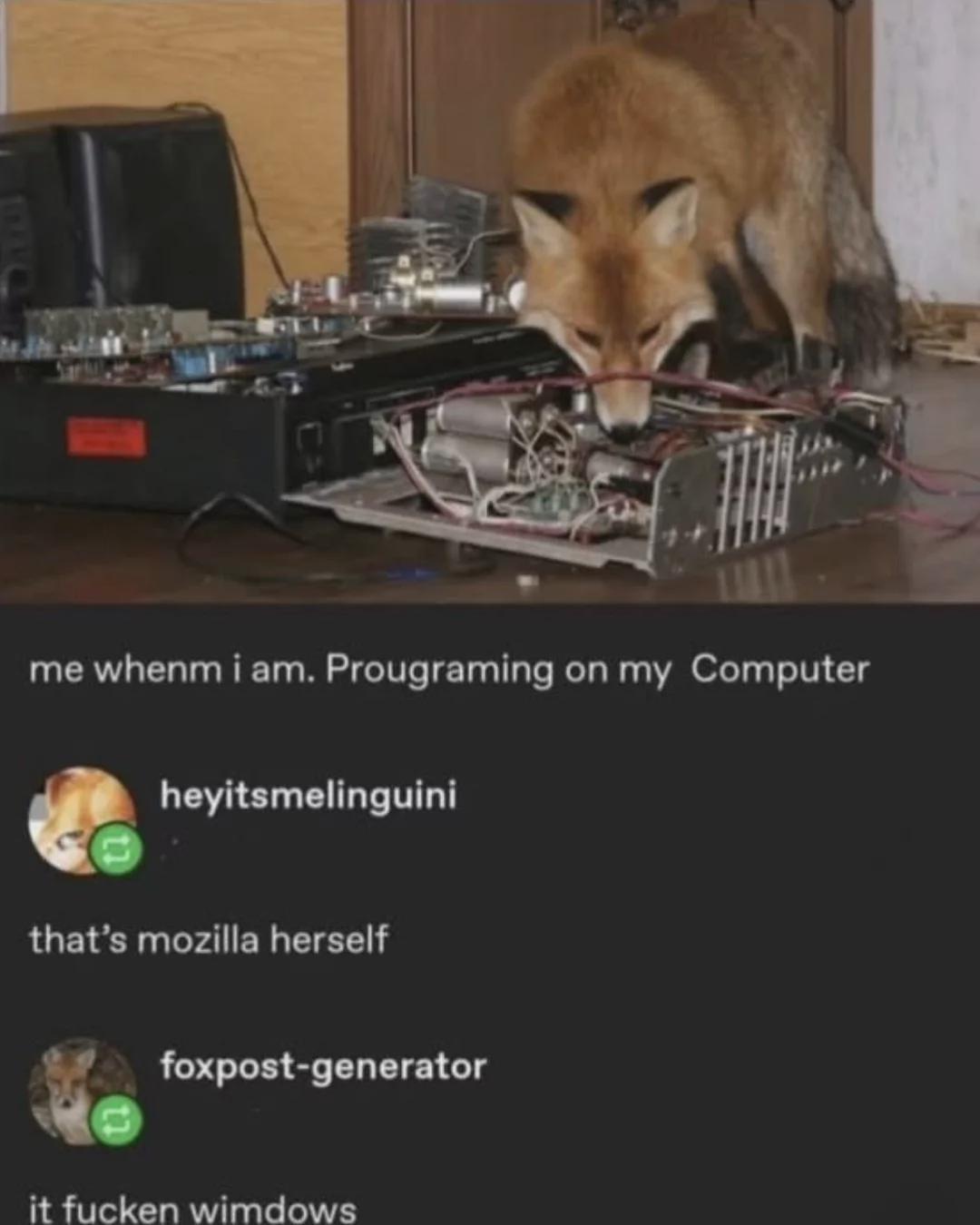 Me Coding And Everything Breaks For No Reason Classic Programmer Pain