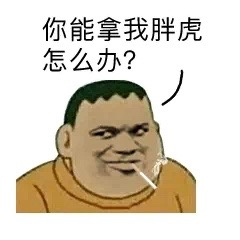 你能拿我胖虎怎么办?