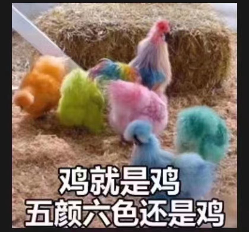 鸡就是鸡五颜六色还是鸡