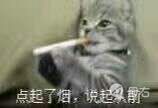 点起了烟,说起从前(小猫抽烟)