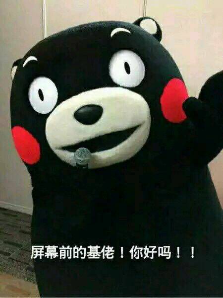 屏幕前的基佬!你好吗!!(熊本熊)