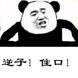 逆子!住口!