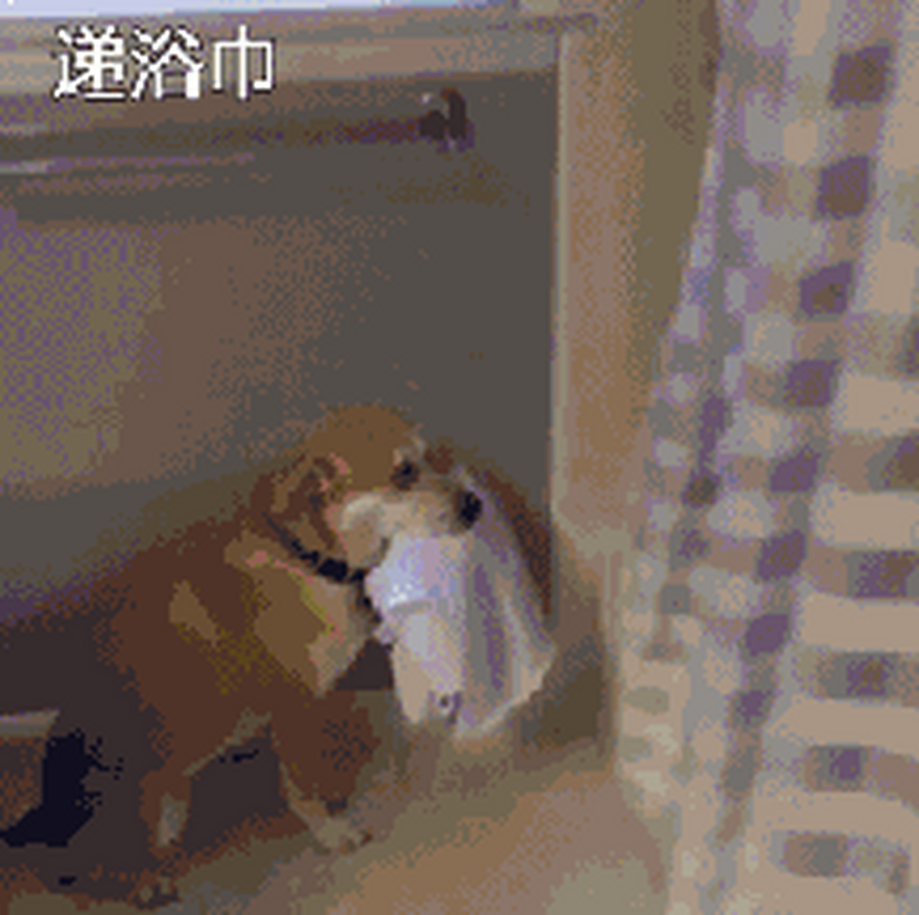 搞笑gif动图:看到最后一张会递浴巾