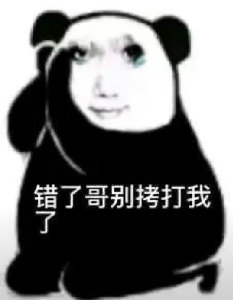 错了哥别拷打我了