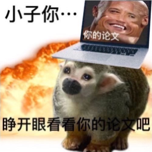 小子你…你的论文睁开眼看看你的论文吧