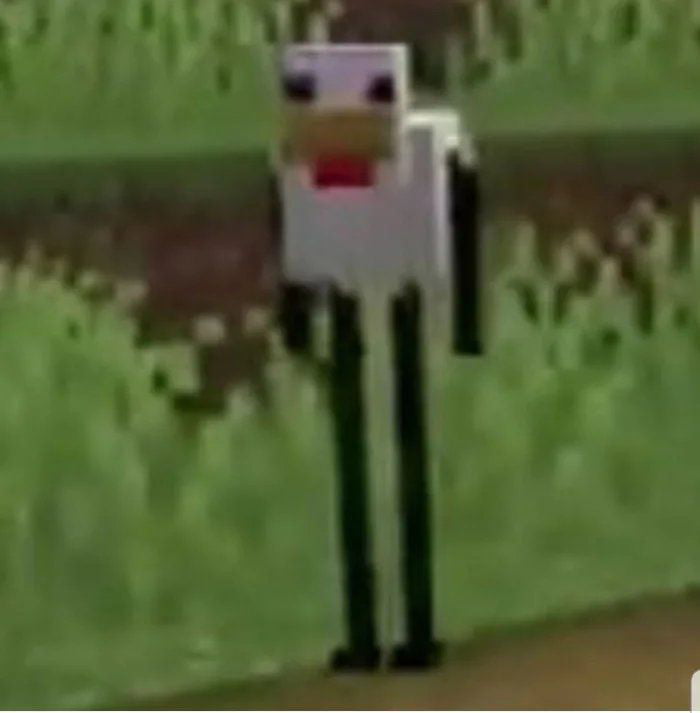 Cursed Minecraft chicken