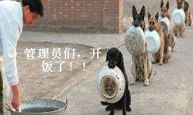 管理员们,开饭了!