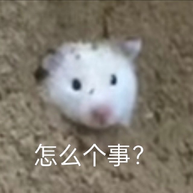 怎么个事?