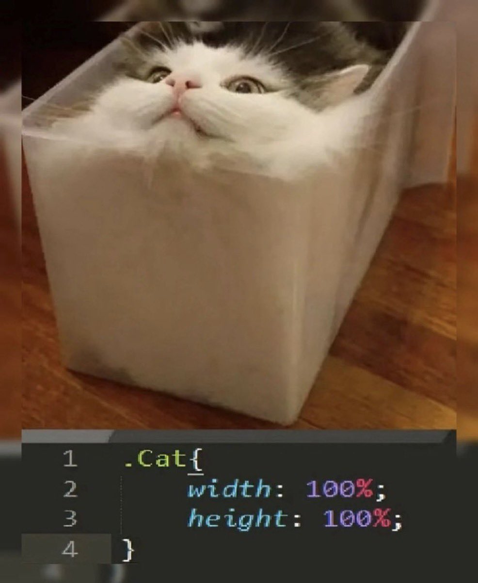Responsive Layout