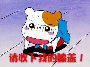 请收下我的膝盖!