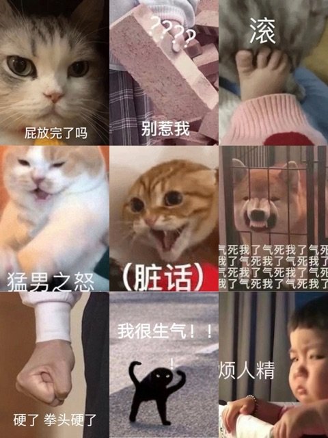 滚屁放完了吗别惹我气死我了气死我了气列我了气死我了气死我了猛男之怒(脏话)气死我了气死我了气死我了气死我了气死我了我很生气!烦人精硬了拳头硬了