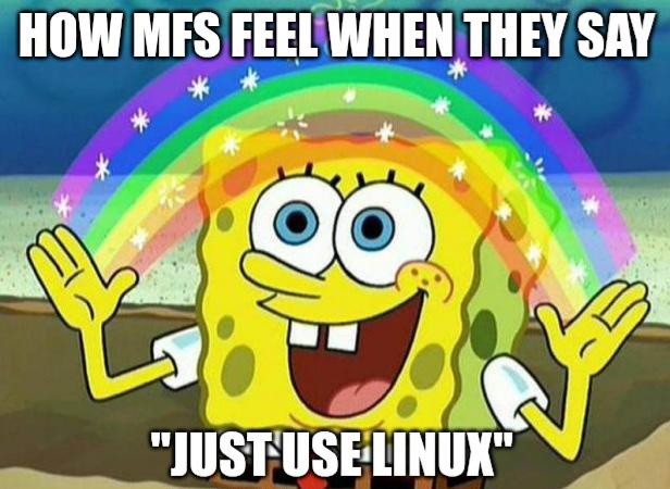 Just Use Linux Bro