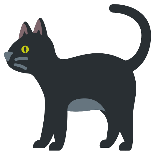 Black cat