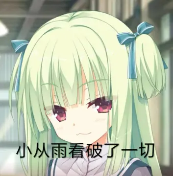 群友们发的表情包丛雨篇!