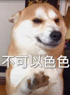不可以色色表情包-可以色色（柴犬）