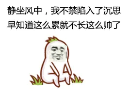 静坐风中，我不禁陷入了沉思，早知道这么累就不长这么帅了