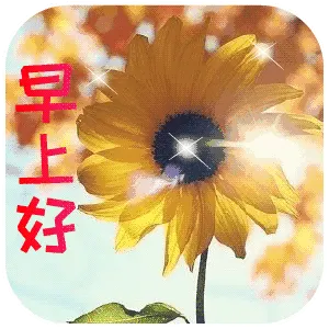 早上好