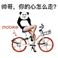 帅哥，你的心怎么走（熊猫头骑摩拜单车）