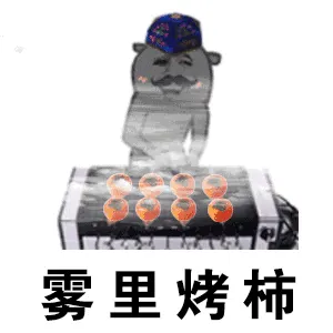 雾里烤柿(物理考试)