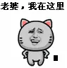 老婆.我在这里