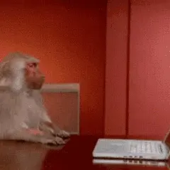 吗喽摔笔记本 GIF 动图