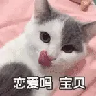恋爱吧.宝贝