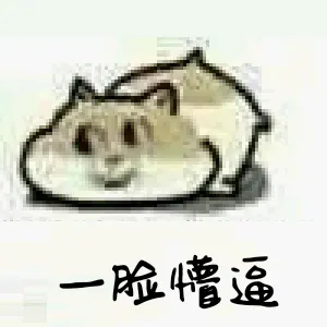 一脸懵逼