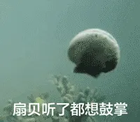 扇贝听了都想鼓掌