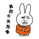真的不关我事！（兔子金馆长）