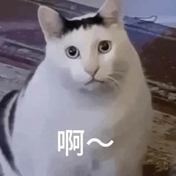 网红猫meme表情包第一弹（震惊猫）
